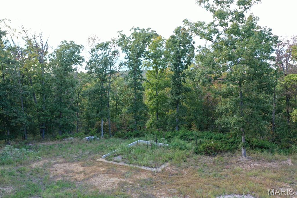 Tbd Tbd Highway Annapolis, MO 63620 - Photo 8 of 67