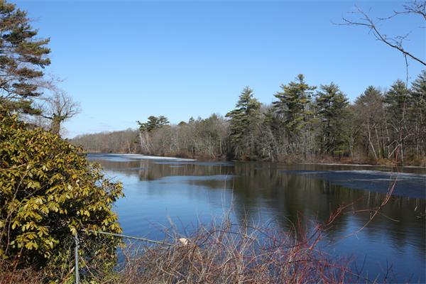 195 Islington Road Newton, MA 02466 - Photo 6 of 7