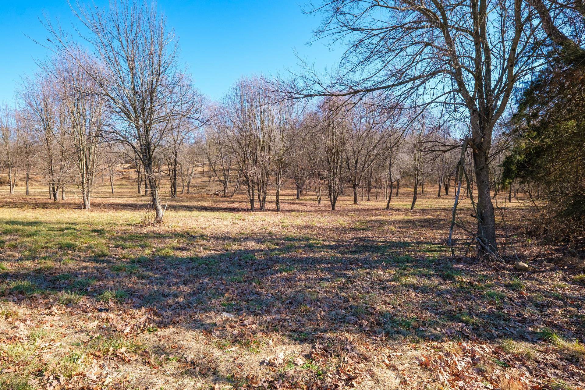 Lot 13 Berry Farm Road Verona, VA 24482 - Photo 4 of 11 Gallery Image 4