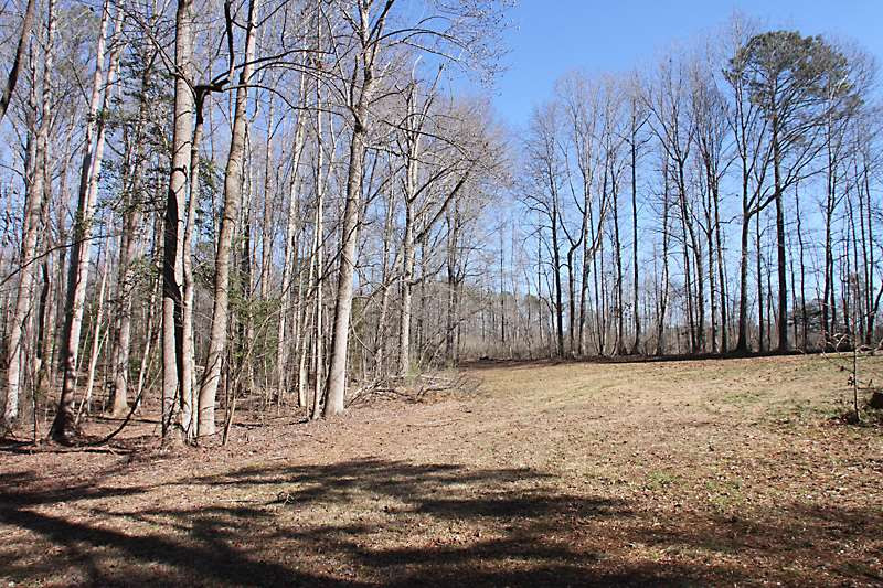 3040 Banks Road Raleigh, NC 27603 - Photo 7 of 13 Photo 7