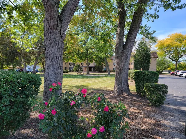 a view of a pathway with a tree in a yard