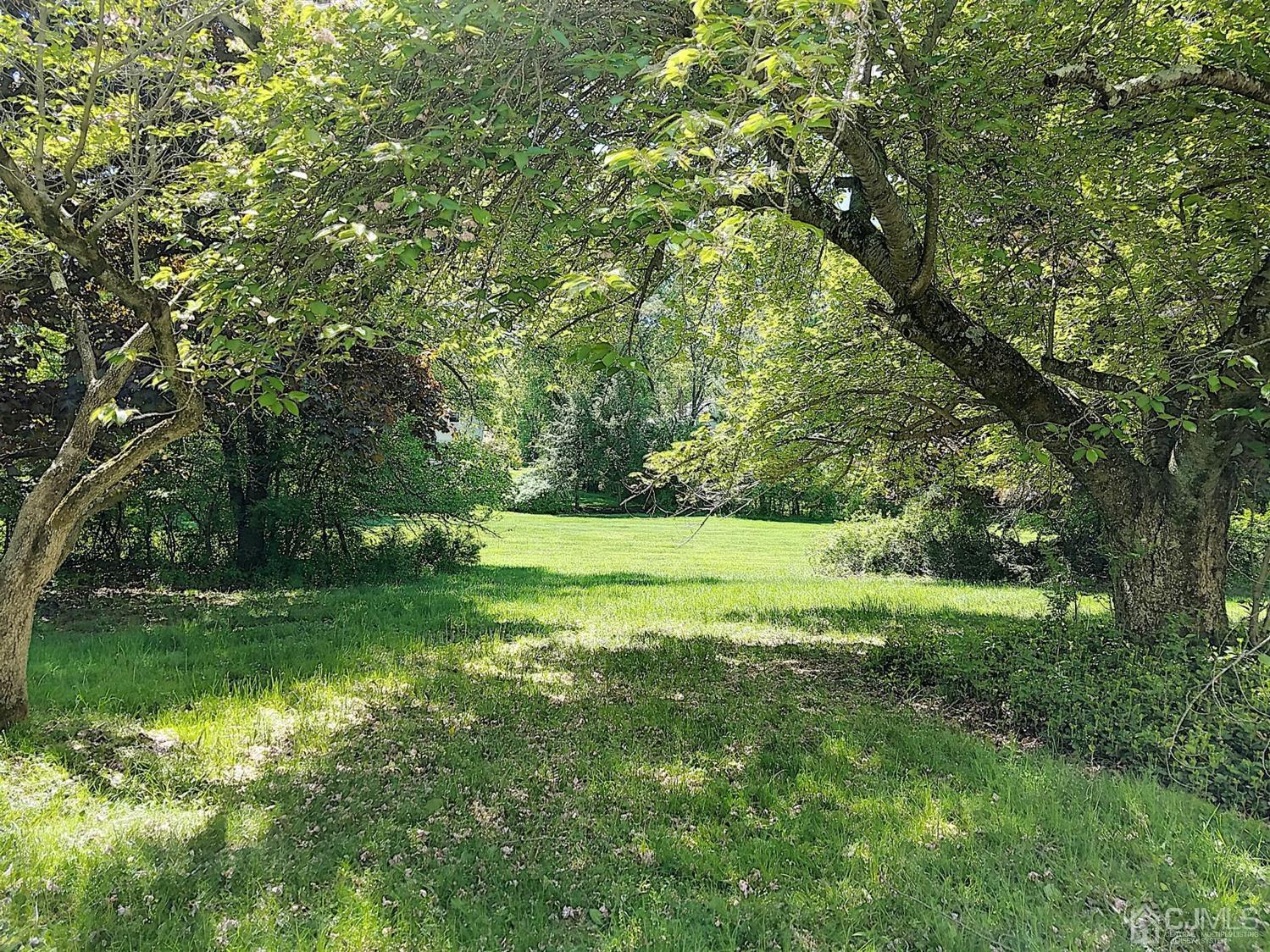 26 Fairfield Road Princeton, NJ 08540 - Photo 23 of 26 a view of yard with green space