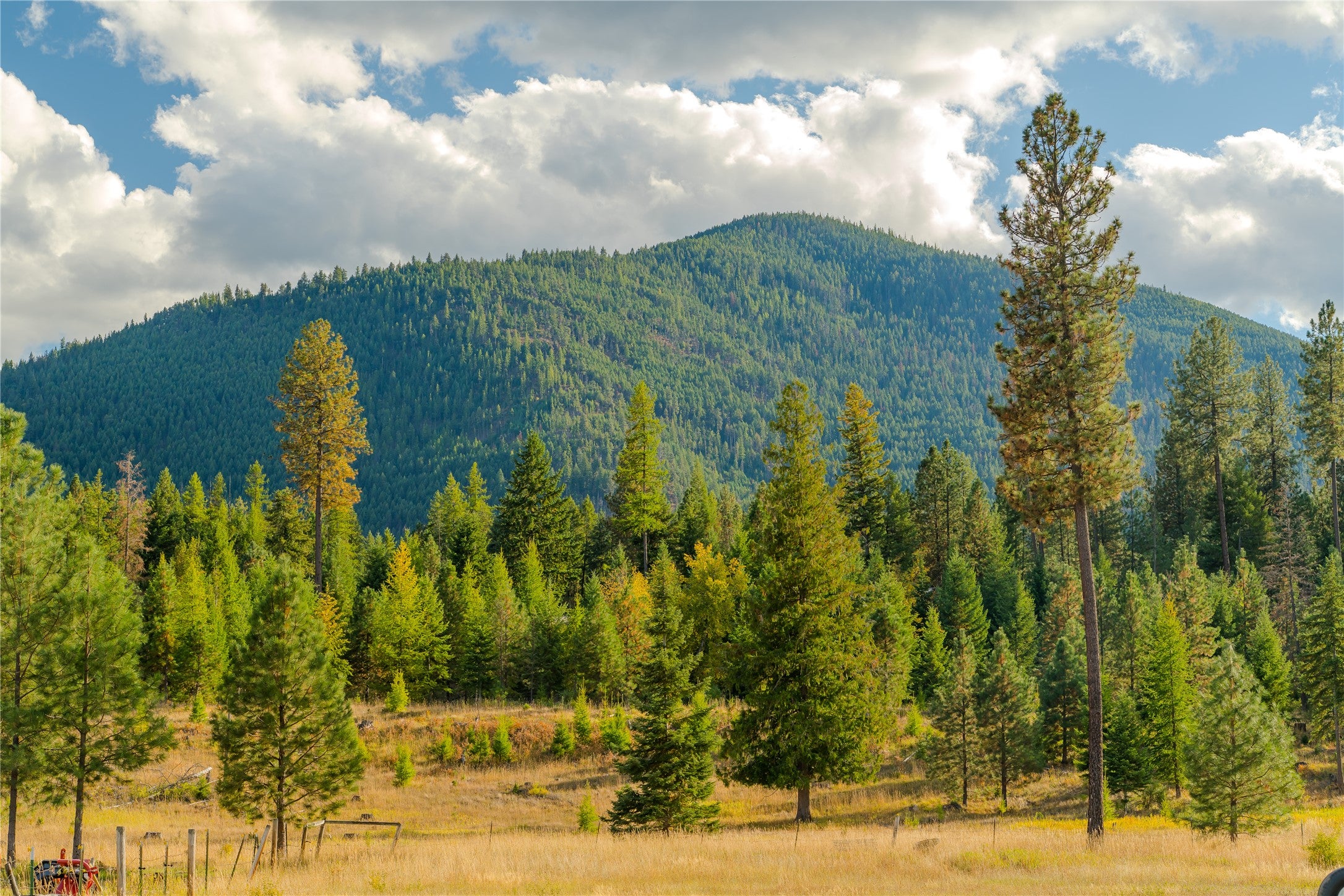 64 Cherry Creek Road Thompson Falls, MT 59873 - Photo 56 of 96 Gallery Image 56