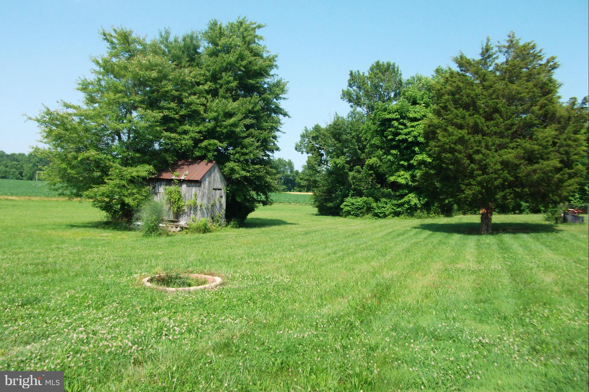 806 Bayard Road Lothian, MD 20711 - Photo 28 of 29 back yard--acreage