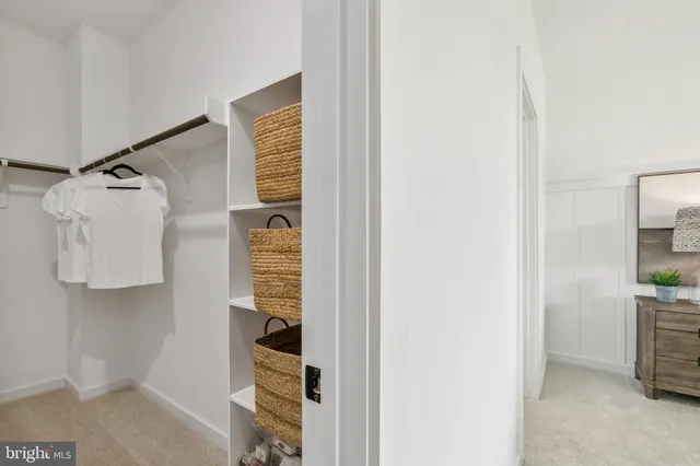 a bathroom with a shower and a sink