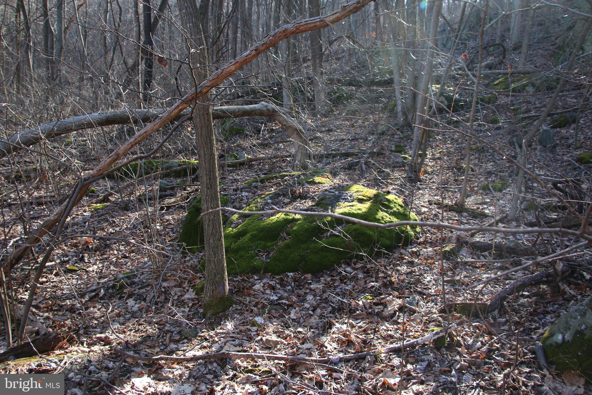 Mosby Springs Road Linden, VA 22642 - Photo 14 of 15 Gallery Image 14
