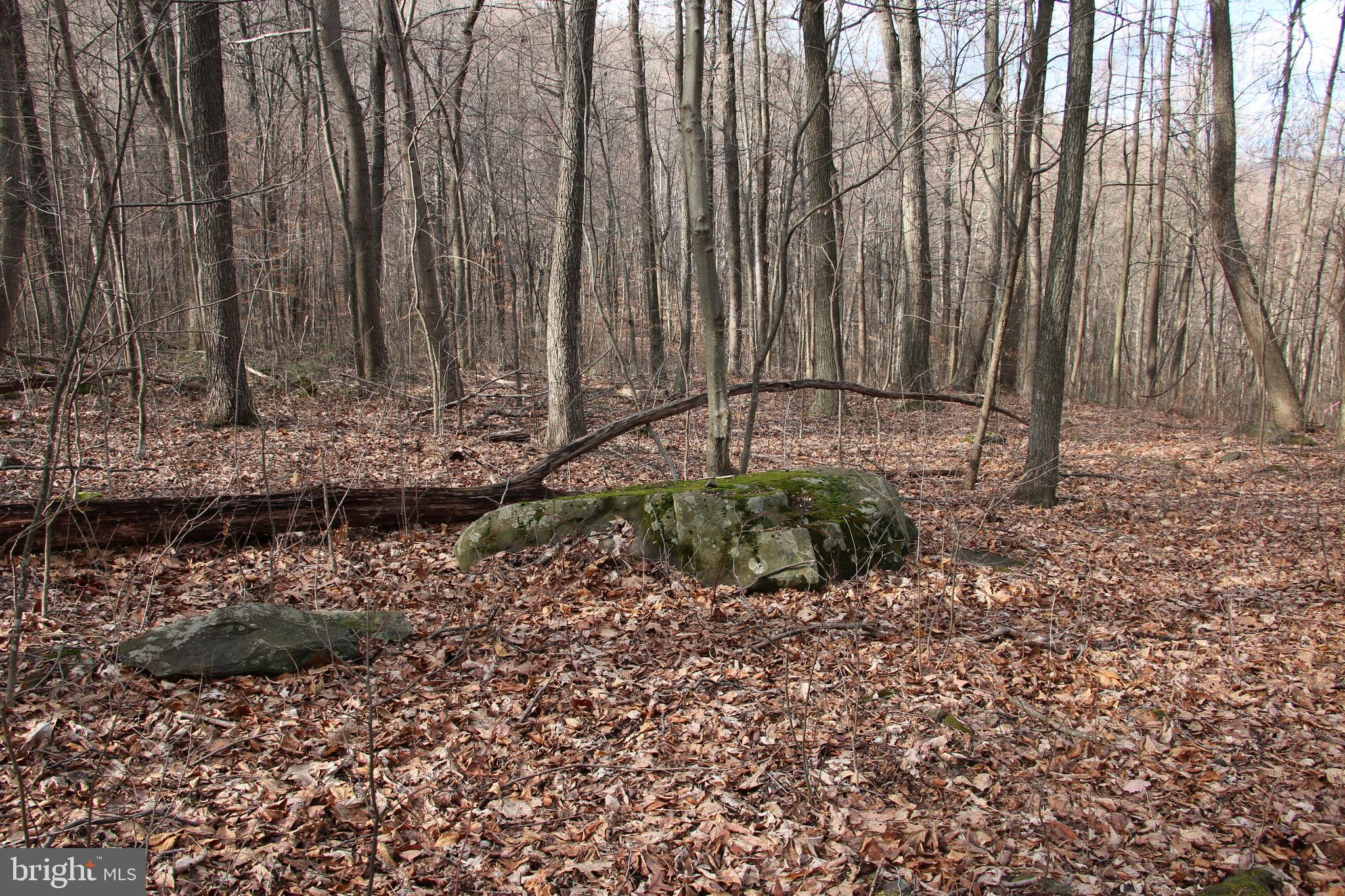 Mosby Springs Road Linden, VA 22642 - Photo 8 of 15 Gallery Image 8