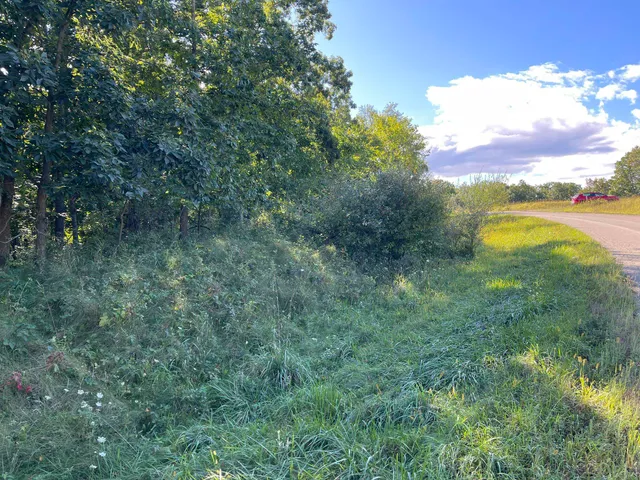 $5,500 | L115-staghorn Black Forest Drive, La Valle, WI 53941