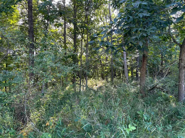 $5,500 | L115-staghorn Black Forest Drive, La Valle, WI 53941