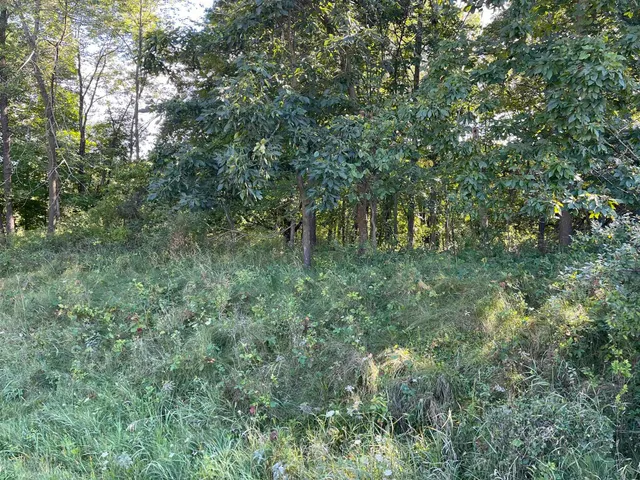 $5,500 | L115-staghorn Black Forest Drive, La Valle, WI 53941