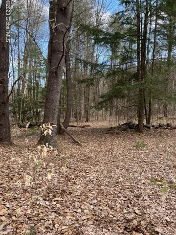 $35,000 | L64-l24 Honeysuckle Drive, Granville, NY 12832