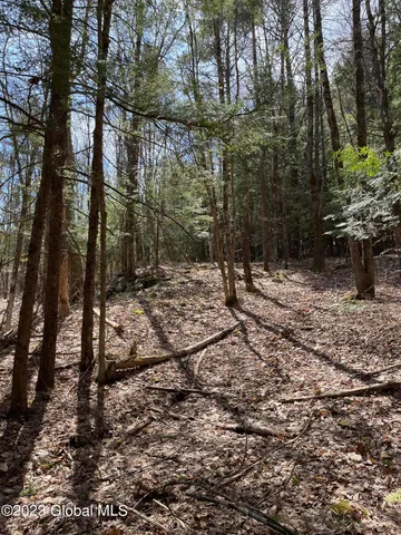 $35,000 | L64-l24 Honeysuckle Drive, Granville, NY 12832