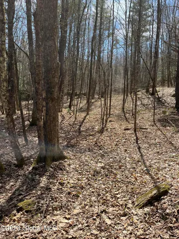 $35,000 | L64-l24 Honeysuckle Drive, Granville, NY 12832