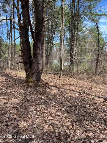 $35,000 | L64-l24 Honeysuckle Drive, Granville, NY 12832