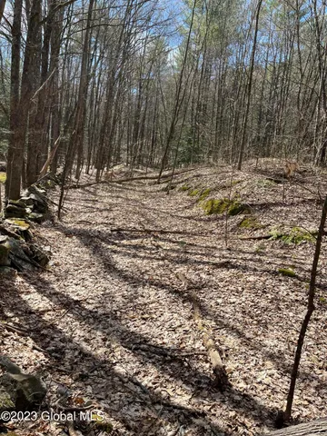 $35,000 | L64-l24 Honeysuckle Drive, Granville, NY 12832