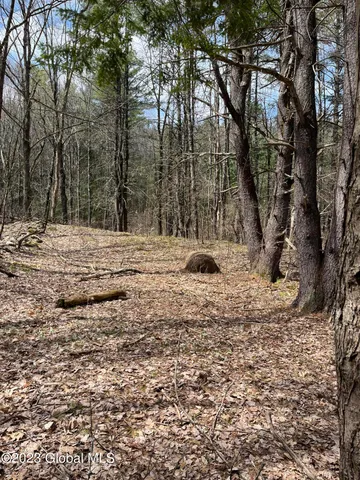 $35,000 | L64-l24 Honeysuckle Drive, Granville, NY 12832