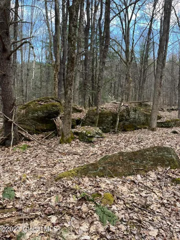 $35,000 | L64-l24 Honeysuckle Drive, Granville, NY 12832