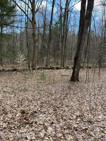 $35,000 | L64-l24 Honeysuckle Drive, Granville, NY 12832