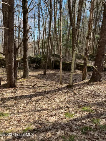 $35,000 | L64-l24 Honeysuckle Drive, Granville, NY 12832