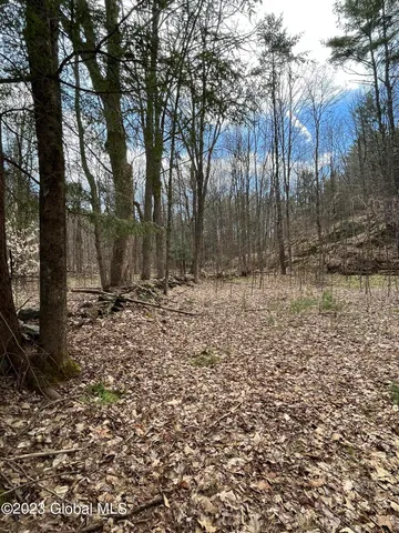 $35,000 | L64-l24 Honeysuckle Drive, Granville, NY 12832