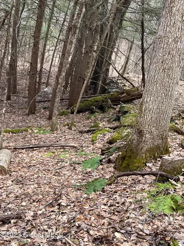 $35,000 | L64-l24 Honeysuckle Drive, Granville, NY 12832