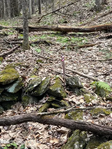 $35,000 | L64-l24 Honeysuckle Drive, Granville, NY 12832