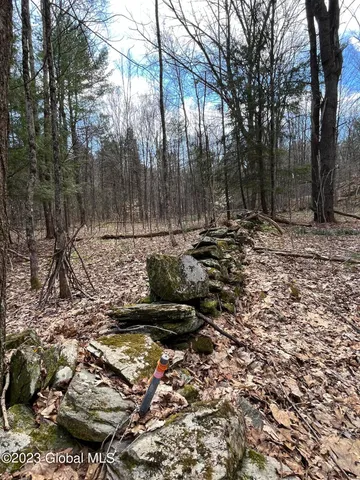 $35,000 | L64-l24 Honeysuckle Drive, Granville, NY 12832