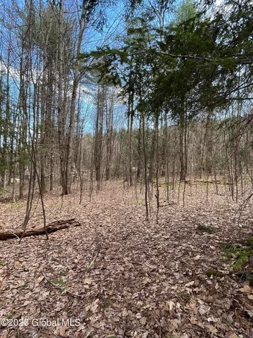 $35,000 | L64-l24 Honeysuckle Drive, Granville, NY 12832