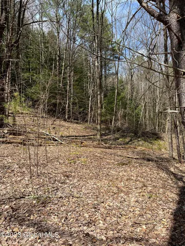 $35,000 | L64-l24 Honeysuckle Drive, Granville, NY 12832