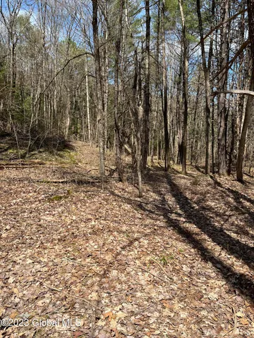 $35,000 | L64-l24 Honeysuckle Drive, Granville, NY 12832