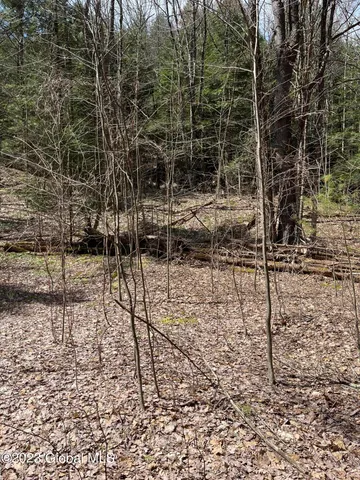 $35,000 | L64-l24 Honeysuckle Drive, Granville, NY 12832