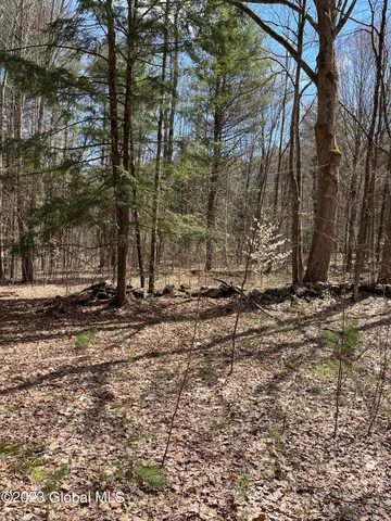 $35,000 | L64-l24 Honeysuckle Drive, Granville, NY 12832