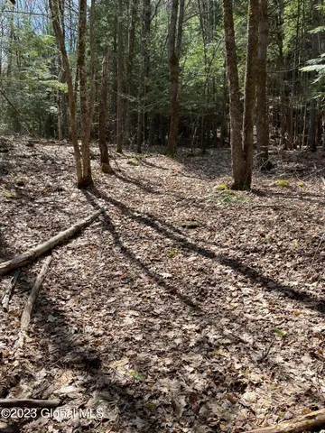 $35,000 | L64-l24 Honeysuckle Drive, Granville, NY 12832