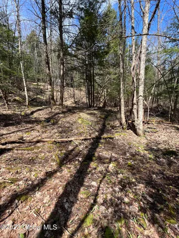 $35,000 | L64-l24 Honeysuckle Drive, Granville, NY 12832