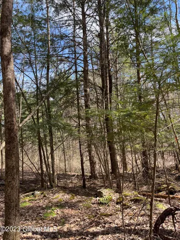 $35,000 | L64-l24 Honeysuckle Drive, Granville, NY 12832