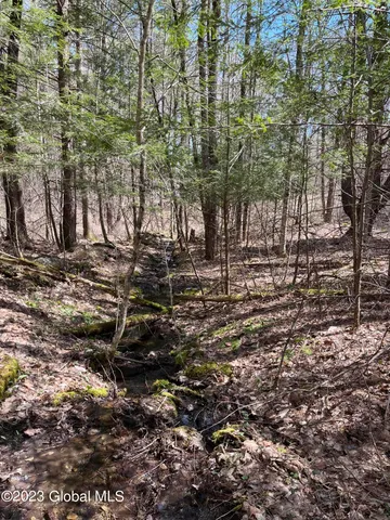 $35,000 | L64-l24 Honeysuckle Drive, Granville, NY 12832