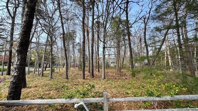 53 Brooks Road Harwich, MA 02646 - Photo 2 of 5 a view of backyard with green space