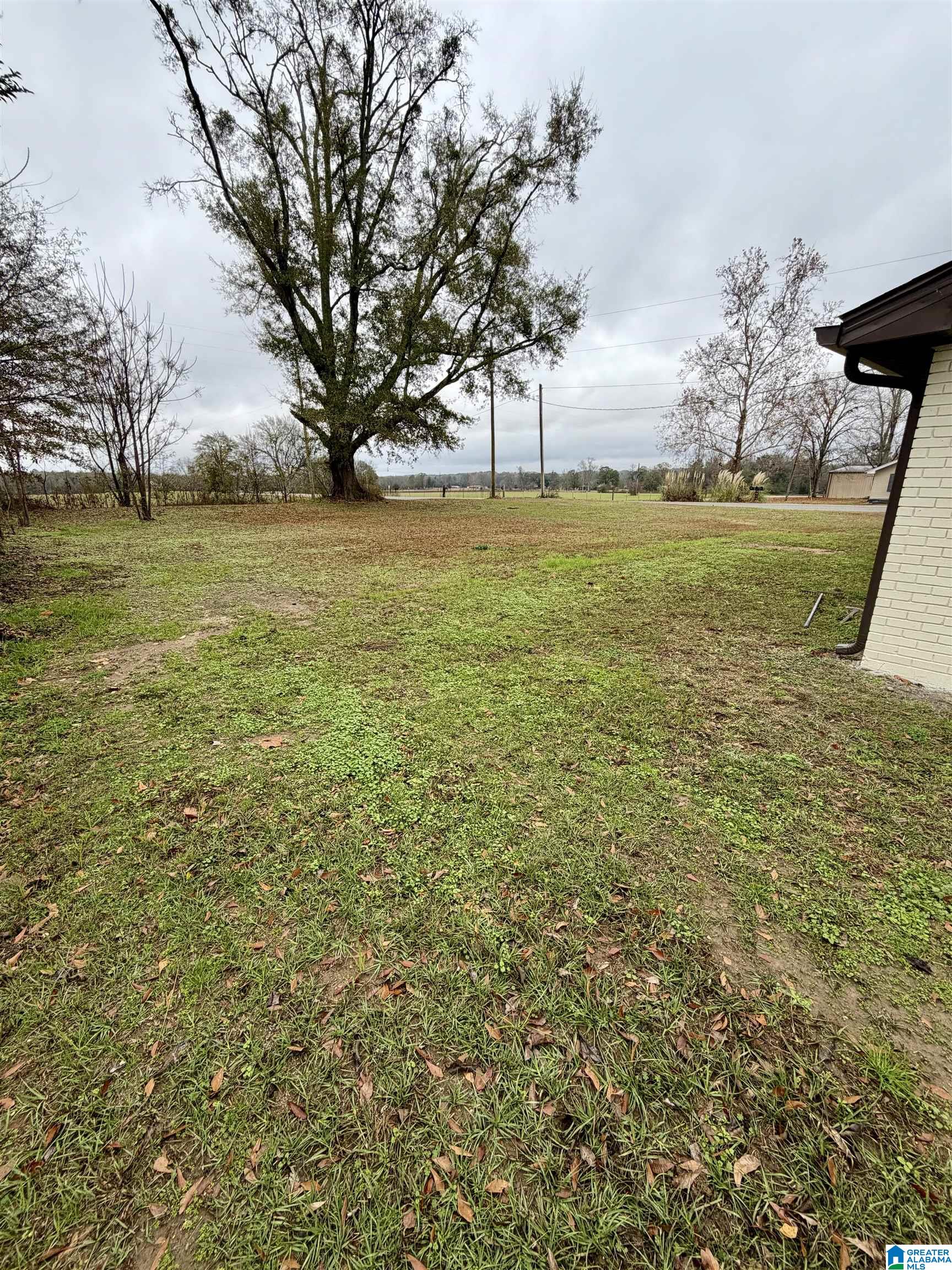 100 Mims Circle Clanton, AL 35045 - Photo 3 of 18