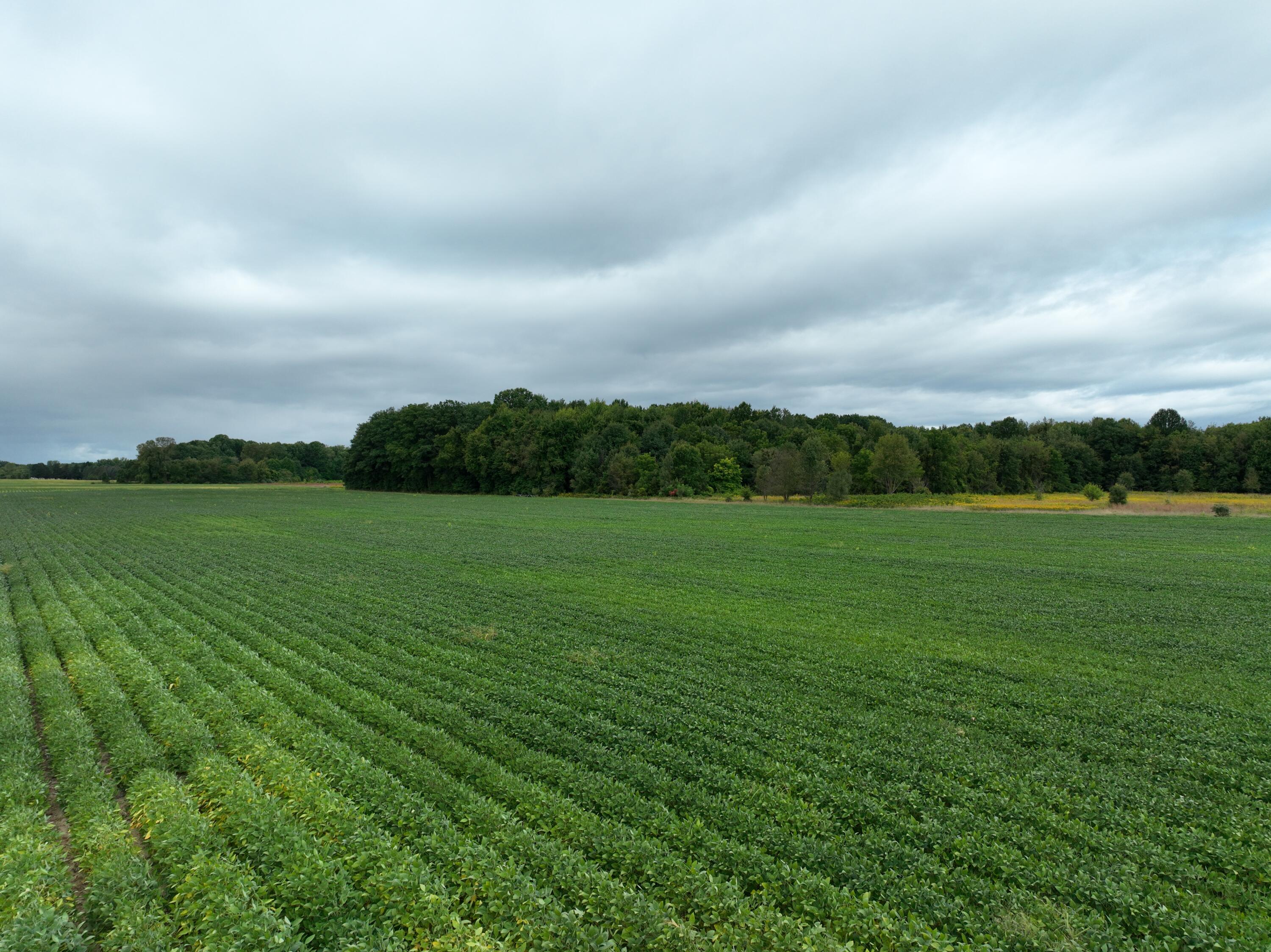 North Benton Center Road Benton Harbor, MI 49022 - Photo 4 of 12 dji_fly_20240907_104500_141_172574315899