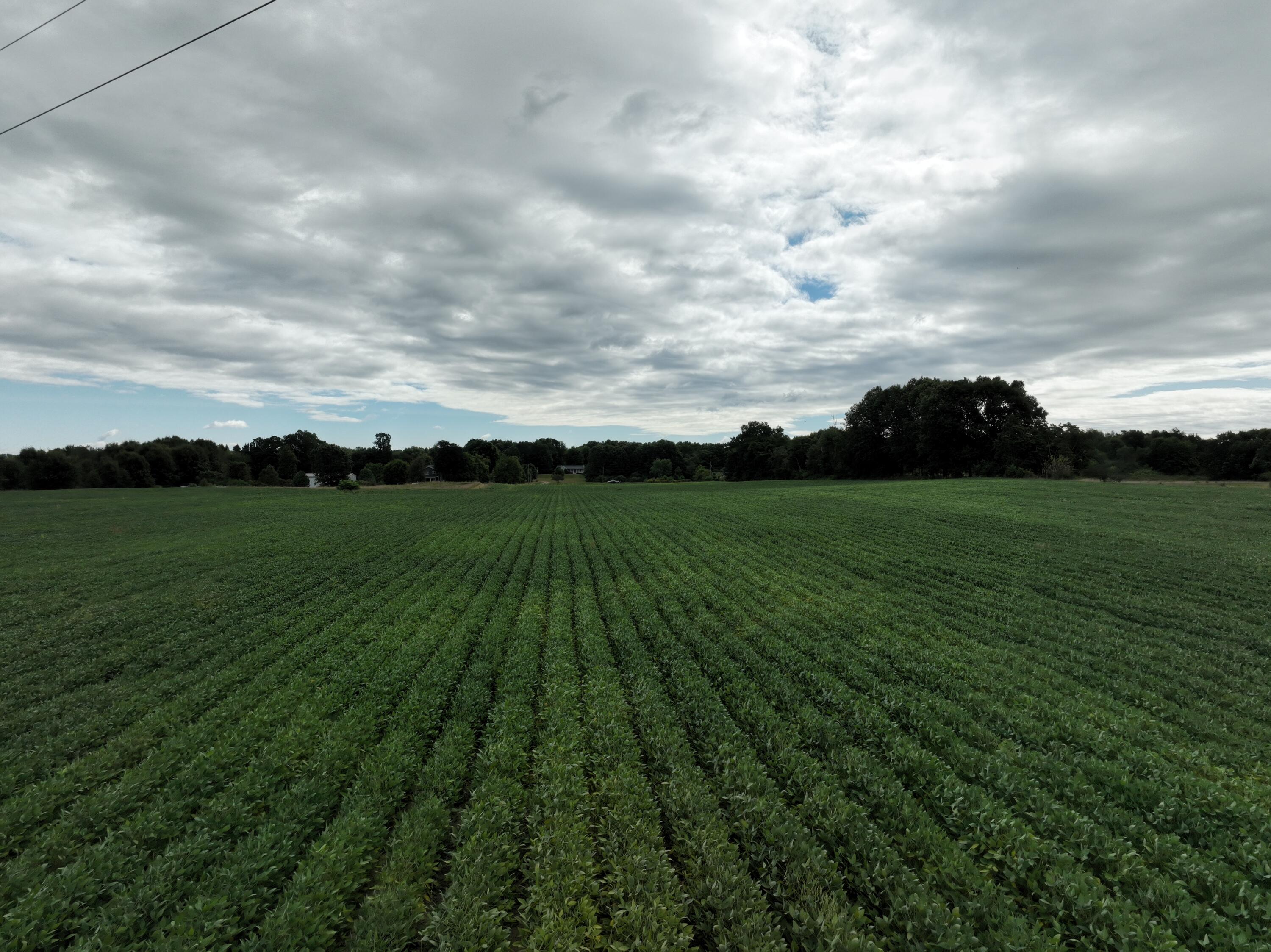 North Benton Center Road Benton Harbor, MI 49022 - Photo 8 of 12 dji_fly_20240907_104508_142_172574315874