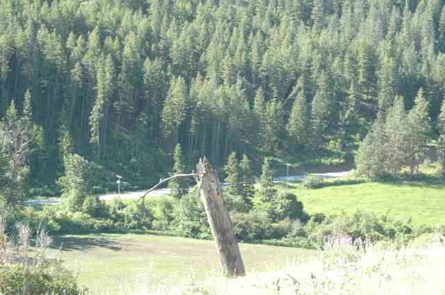0 Addy Cedonia Road Hunters, WA 99137 - Photo 1 of 8