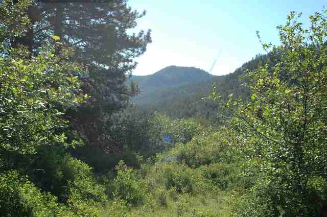 0 Addy Cedonia Road Hunters, WA 99137 - Photo 5 of 8
