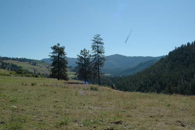 0 Addy Cedonia Road Hunters, WA 99137 - Photo 8 of 8