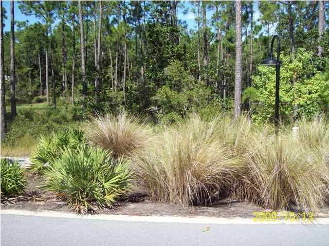 Lot 66 Hidden Grove Santa Rosa Beach, FL 32459 - Photo 1 of 2 Gallery Image 1