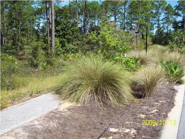 Lot 66 Hidden Grove Santa Rosa Beach, FL 32459 - Photo 2 of 2 Gallery Image 2