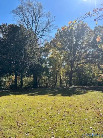 a backyard of a house with lots of trees