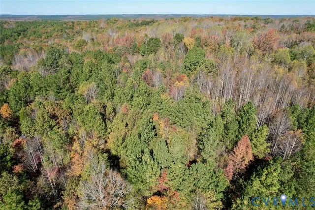 view of a lush green field with lots of bushes