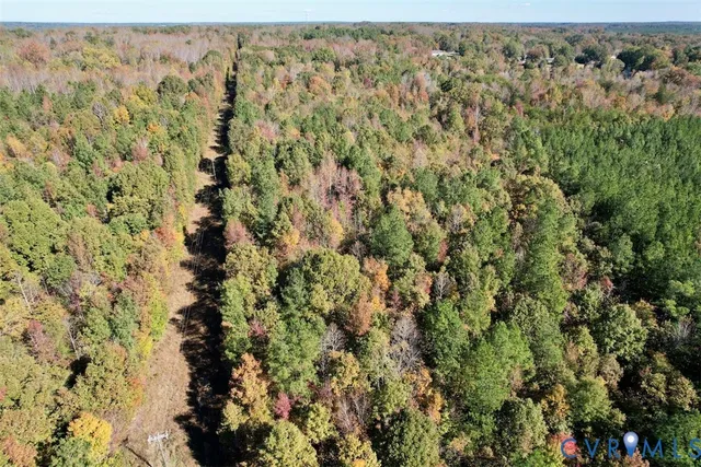 a view of a lush green forest with lots of trees