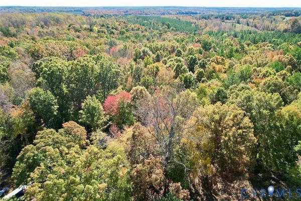 a view of a lush green forest with trees and some houses