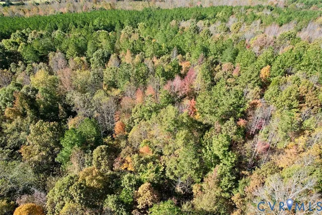 an aerial view of forest
